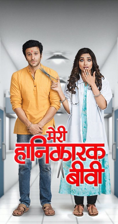 Meri Hanikarak Biwi (2017)